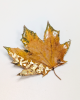 Брошь "Кленовый лист"