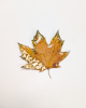 Брошь "Кленовый лист"