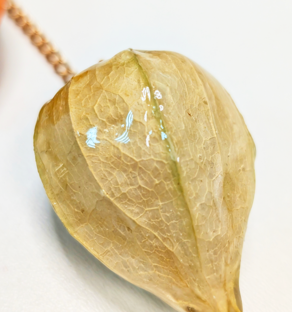 Брошь-булавка "Три физалиса"